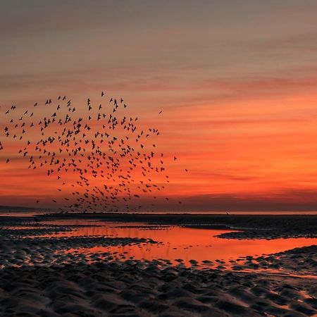 Katwijk aan Zee Hoekje Aan Zee מראה חיצוני תמונה