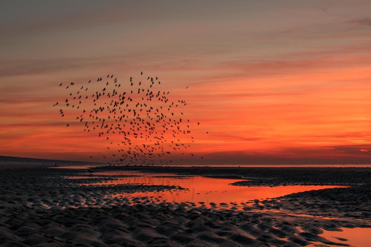 Katwijk aan Zee Hoekje Aan Zee מראה חיצוני תמונה