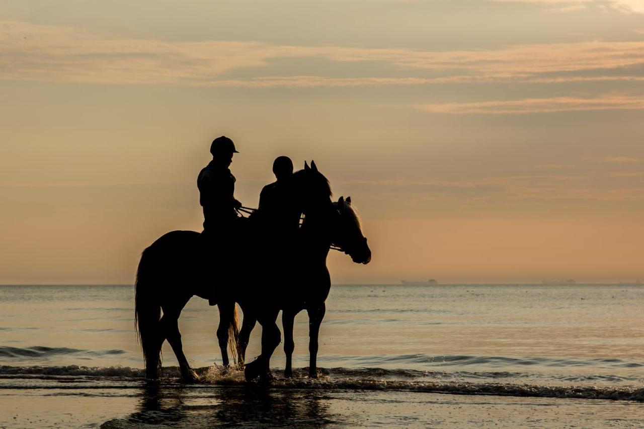 Katwijk aan Zee Hoekje Aan Zee מראה חיצוני תמונה